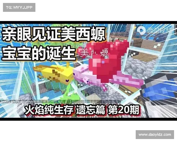 火焰之地生存与探索技巧全解析 揭秘极限环境下的生存智慧 火焰之地生存与探索技巧全解析 揭秘极限环境下的生存智慧