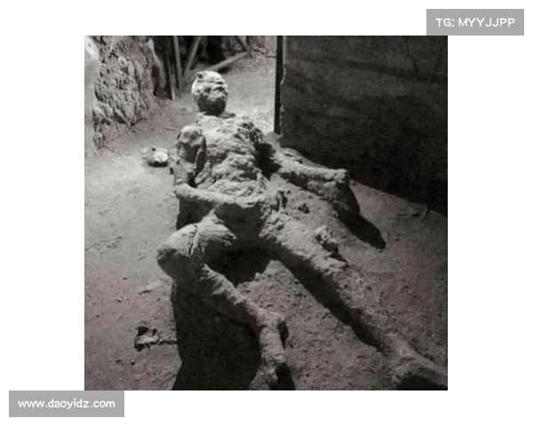 巴舒亚伊的独特语言密码揭秘 你不知道的背后故事与真相